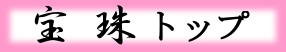 �g�b�v�y�[�W��